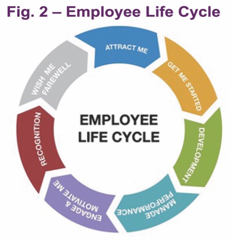 Employee Lifecycle